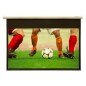 Grandview Fantasy motorized WM screen